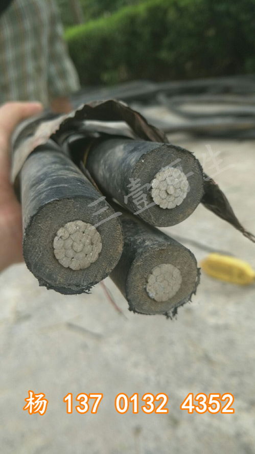 2021年沙洋船用電纜回收 集團(tuán)在線報價服務(wù)全面啟動